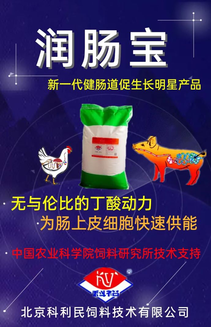 ��ϵ����